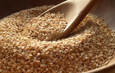 تصویر 3 از بهترین روغن کنجد لاغری + قیمت خرید عالی